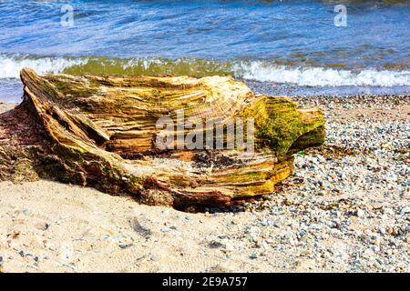 Beach, Luss, votato uno dei villaggi più belli della Scozia e luogo per serie drammatiche prendere la High Road., Loch Lomond., Scozia Foto Stock