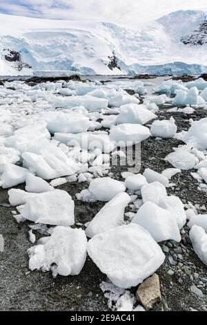 Ghiaccio di brash si è bloccato sulla spiaggia a bassa marea nel porto di Mikkelsen, Trinity Island, Antartide. Foto Stock