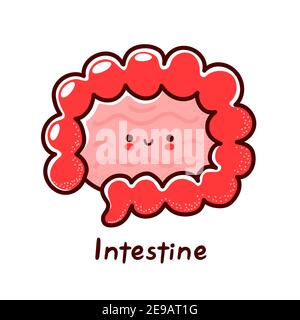 Carino divertente personaggio dell'organo dell'intestino umano. Icona di illustrazione del carattere kawaii della cartoon vettoriale a linea piatta. Isolato su sfondo bianco. Intestino con concetto di mascotte del carattere del viso Illustrazione Vettoriale