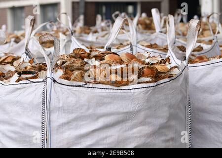 Sacchetti con guscio di cuoio capelluto vuoto per lavorazione zero rifiuti Foto Stock