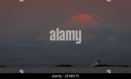 Un'alba di gennaio, con una barca e foche sulle rocce, di fronte al Monte Fuji visto da Hayama, Giappone. Foto Stock