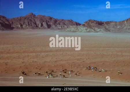Gruppo di uomini beduini e cammelli nel deserto Paesaggio Wadi Rum Giordania Foto Stock