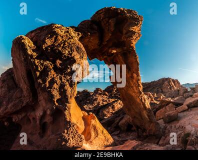 Elephant Rock e le Muddy Mountains, Valley of Fire state Park, Nevada, USA Foto Stock