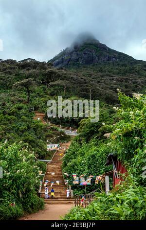 I pellegrini si dirigono verso la scalinata verso la cima alta 2,243 metri (7,359 piedi) del picco di Adam (Sri Pada) nello Sri Lanka centrale. Foto Stock