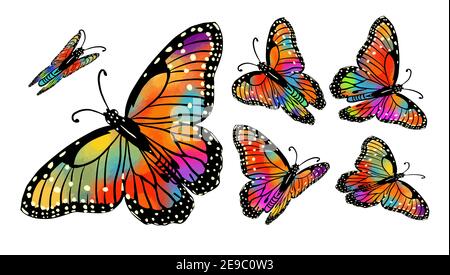Una serie di farfalle colorate. Vettore Illustrazione Vettoriale
