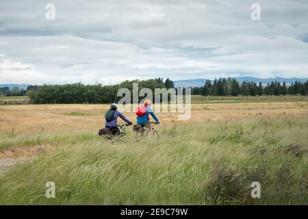 Due ciclisti che percorrono il Central Rail Trail di Otago tra i campi di erba lunga che soffia nel vento, South Island, Nuova Zelanda Foto Stock