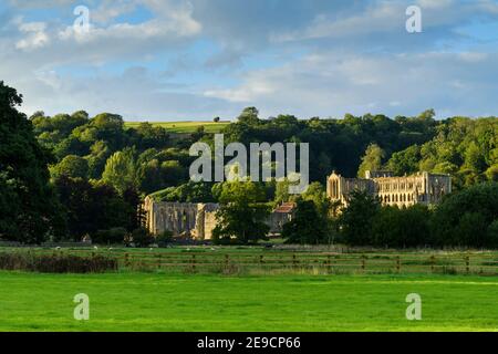 Rovine pittoresche illuminate dal sole della bella storica Abbazia medievale di Rievaulx in collina nella valle tranquilla (sera d'estate) - Nord Yorkshire, Inghilterra, Regno Unito. Foto Stock