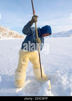 Raccogliere un sigillo da una trappola sotto il ghiaccio marino. Cacciatore inuit con pantaloni e stivali tradizionali realizzati in pelliccia di orso polare, vicino a Melville Bay Foto Stock