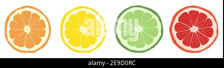 Set di fette di agrumi di lime, arancia, pompelmo Illustrazione Vettoriale
