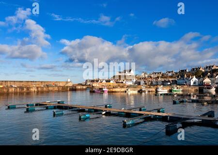 FINDOCHTY MORAY COSTA SCOZIA VISTA ALL'INTERNO DEL PORTO CON PESCA BARCHE E PONTONI UN BIANCO KIRK SULLA COLLINA Foto Stock