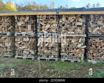 Legna da ardere in metallo leggero intagli sul magazzino nella foresta, Germania Foto Stock