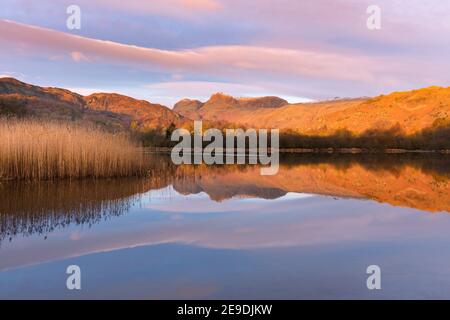 Riflessi specchiati in un lago calmo con luce dorata dall'alba sulle cime delle montagne. Elterwater, Lake District, Regno Unito. Foto Stock