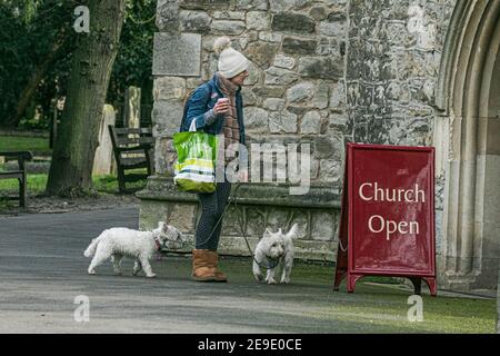 PUTNEY LONDON, REGNO UNITO. 4 Feb 2021. Una donna si trova con i suoi cani all'ingresso della Chiesa Parrocchiale di Fulham. Molte chiese stanno eseguendo la massa virtuale e non consentendo congregazioni a causa delle restrizioni del coronavirus. Credit: amer Ghazzal/Alamy Live News Foto Stock