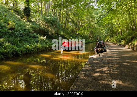 Narrowboats sul ramo di Llangollen del canale Shropshire Union Nel Galles del Nord Chirk Foto Stock