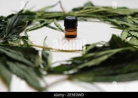 Olio di canapa naturale circondato da germogli e foglie di cannabis succosa fresca. Bottiglia di vetro marrone di olio THC CBD con germogli di canapa o di canapa su bianco Foto Stock