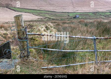 Farm gate alla fine della corsia di campagna nella contea di Kerry Irlanda Foto Stock