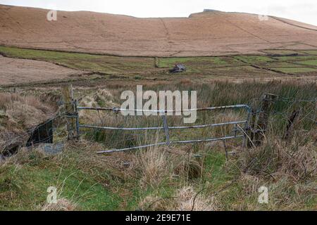 Farm gate alla fine della corsia di campagna nella contea di Kerry Irlanda Foto Stock