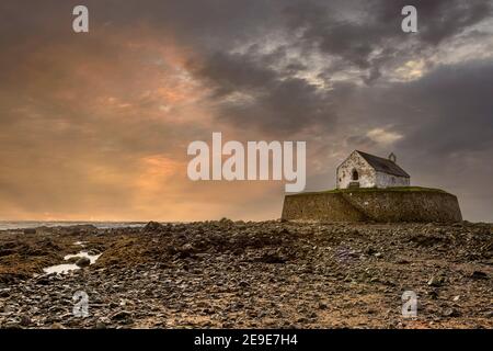 La ‘Chiesa nel mare di San Cwyfan’ con la bassa marea, Porth Cwyfan, Anglesey, Galles Foto Stock