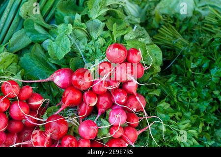 Brodo raviccio rosso fresco con verde in una strada mercato vegetale Foto Stock