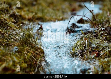 Primo piano di un flusso che attraversa un campo in molla Foto Stock