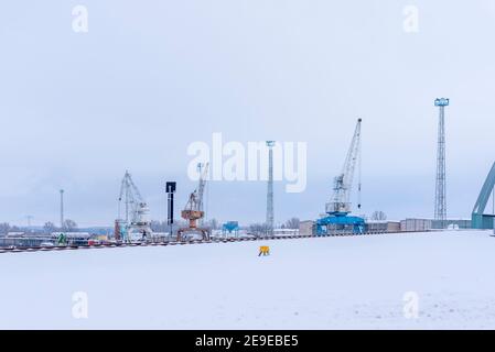 Magdeburgo, Germania. 30 gennaio 2021. Le gru di carico si trovano nel porto industriale di Magdeburgo. Credit: Stefano Nosini/dpa-Zentralbild/ZB/dpa/Alamy Live News Foto Stock