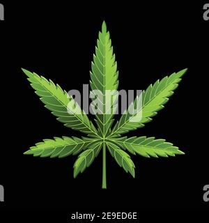 Foglia di marijuana o icona di erbaccia foglia di cannabis Illustrazione Vettoriale