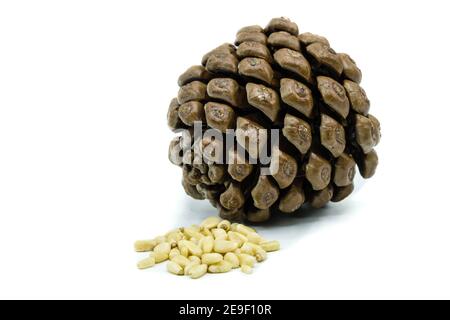 Pinoli e coni di pino isolati su sfondo bianco Foto Stock