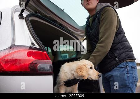 Maschio criminale rubare o Dognapping Puppy e metterli in Auto Foto Stock