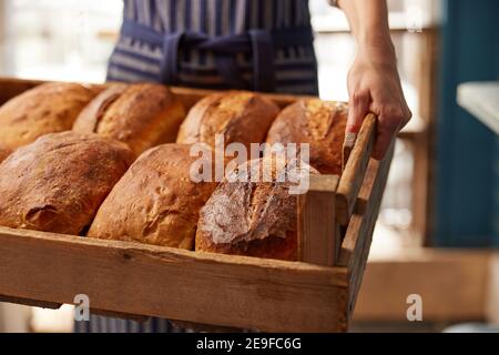 Assistente vendite in panetteria con vassoio di prodotti biologici appena sfornati Focacce di pane Foto Stock