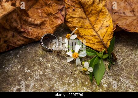 Due anelli d'argento, uno dei quali con un cuore intagliato su di esso, sono entrambi sul terreno circondati da foglie di mandorle secche e fiori di erba di Bidens Foto Stock