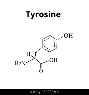 L'amminoacido tirosina. Formula molecolare chimica dell'amminoacido tirosina. Illustrazione vettoriale su sfondo isolato Illustrazione Vettoriale