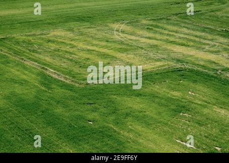 Vista del campo agricolo, agricoltura efficiente di colture biologiche . Terreni agricoli Foto Stock