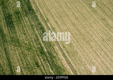 Vista del campo agricolo, agricoltura efficiente di colture biologiche . Terreni agricoli Foto Stock