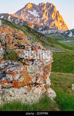 Licheni su una roccia enorme. Sullo sfondo il Corno Grande. Parco Nazionale del Gran Sasso e Monti della Laga. Foto Stock