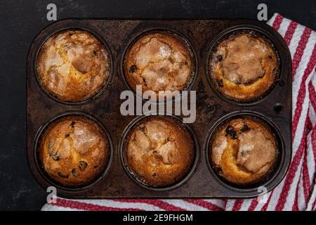 Muffin appena fuori dal forno con scaglie di cioccolato fresco, rinfrescati al bancone Foto Stock