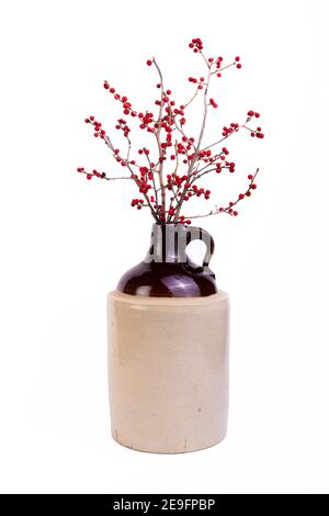 I mirtilli, conosciuti anche come Ilex verticullata, sono sistemati in una brocca di gres. Foto Stock