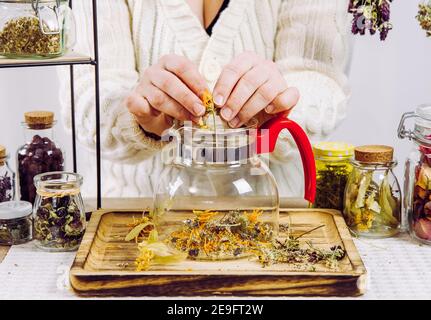 Primo piano vista della donna erborista mescolando varie erbe secche per il tè medicinale tradizionale. Erbe secche in vasi di vetro su sfondo.