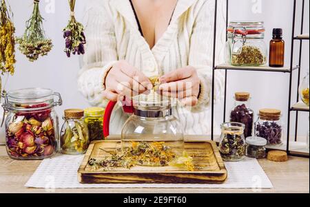 Primo piano vista della donna erborista mescolando varie erbe secche per il tè medicinale tradizionale. Erbe secche in vasi di vetro su sfondo.
