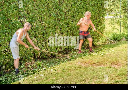 I giardinieri stanno rimuovendo le foglie con i rastrelli nel giardino. Foto Stock