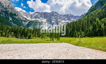 Vista ad angolo basso della strada in ghiaia nella splendida valle di montagna. Jezersko, Slovenia. Foto Stock
