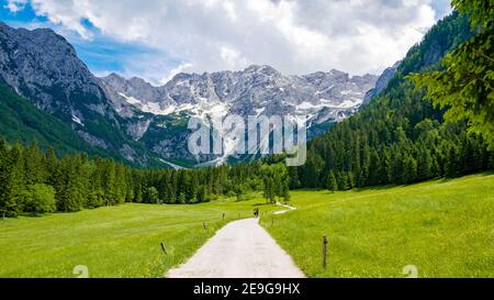Bella valle alpina con campo di erba verde circondata da montani. Jezersko, Slovenia. Foto Stock