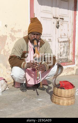 India Jaipur Snake Charmer in esecuzione con Cobra Foto Stock