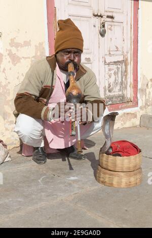 India Jaipur Snake Charmer in esecuzione con Cobra Foto Stock