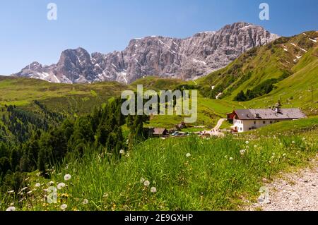 Sentiero fino al Passo Duron, Alpe di Siusi, Alto Adige, Italia Foto Stock