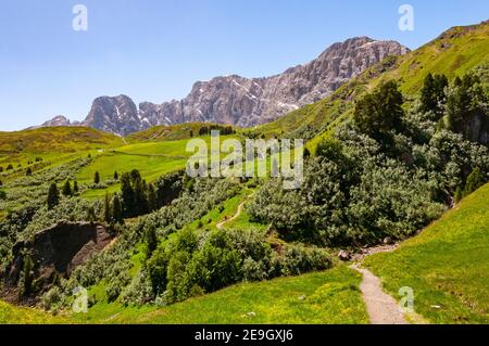 Sentiero fino al Passo Duron, Alpe di Siusi, Alto Adige, Italia Foto Stock