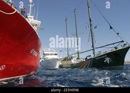 Il guerriero arcobaleno II di Greenpeace è circondato da pescherecci per la pesca del tonno per impedirne l'attracco, mentre cerca di trasferirsi nel porto di Marsiglia, il 23 agosto 2006. I pescatori della città portuale francese meridionale di Marsiglia hanno usato la tattica di Greenpeace contro di essa per impedire l'attracco del faro del gruppo attivista ambientale. Rainbow Warrior II campagne per salvare le riserve di tonno rosso in diminuzione. Foto di Gerald Holubowicz/ABACAPRESS.COM Foto Stock