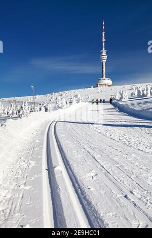 pista da sci o pista da sci di fondo sulle montagne di jesenik e. supporto per trasmettitore televisivo con praded - repubblica ceca Foto Stock