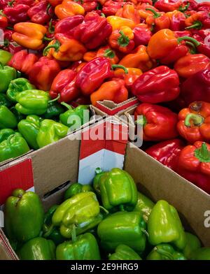 peperoni dolci crudi assortiti al mercato Foto Stock