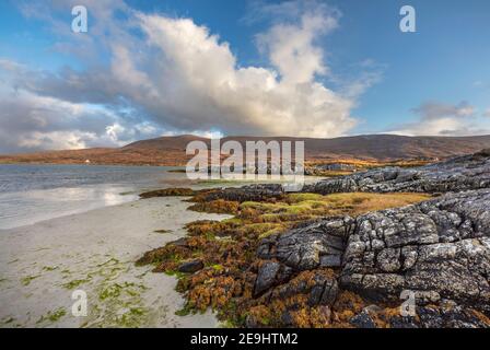 Isola di Lewis e Harris, Scozia: Massi e erbe sulla tideline della spiaggia di Luskentire; Harris del sud Foto Stock