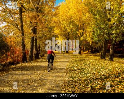 Escursione in bicicletta nel pomeriggio dell'autunno lungo Boise Greenbelt, Boise, Idaho, USA Foto Stock